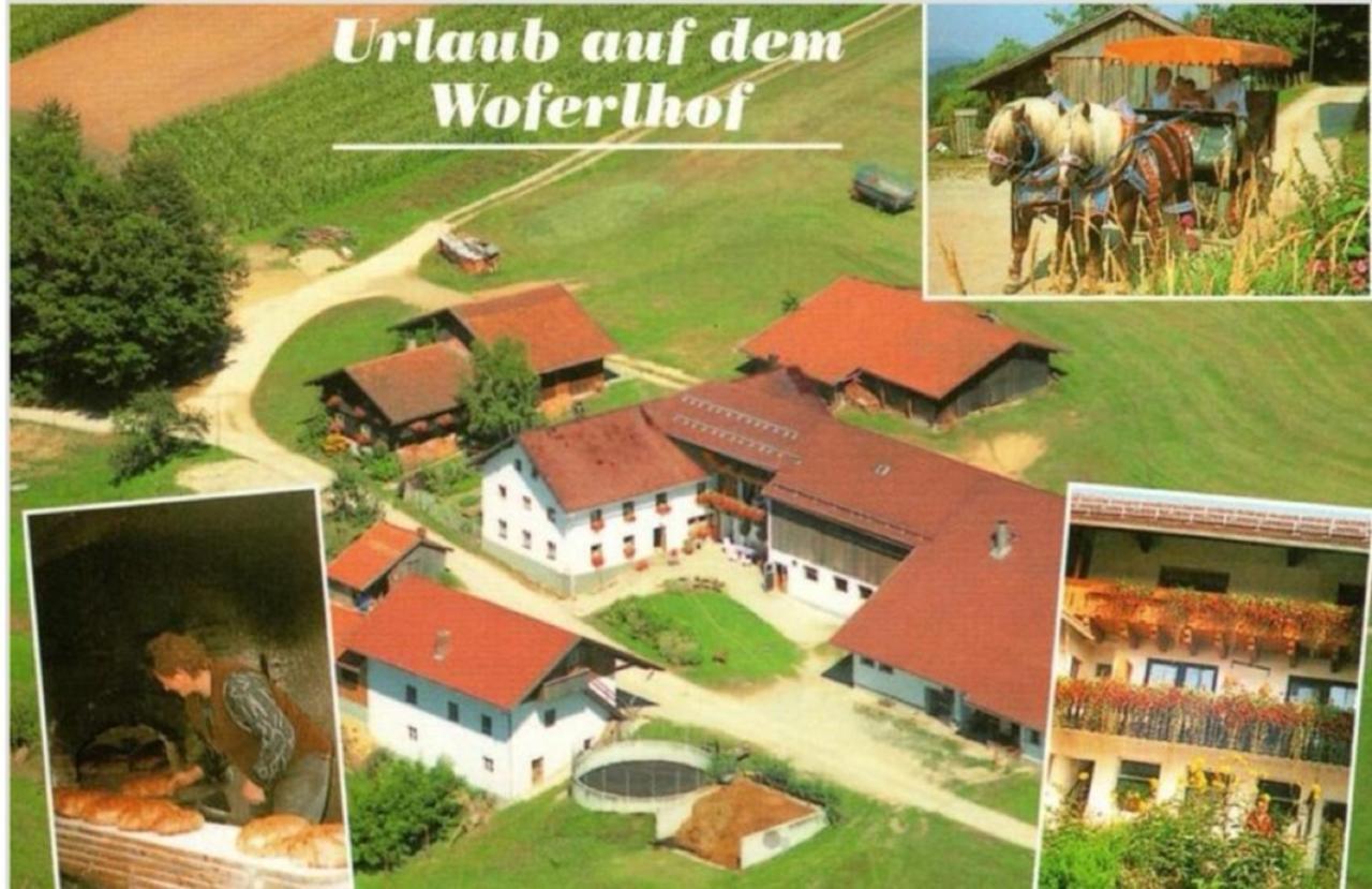 Woferlhof, Ferienhof Boxhorn Böbrach Εξωτερικό φωτογραφία